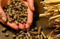 free Uppend biomass boiler quotes